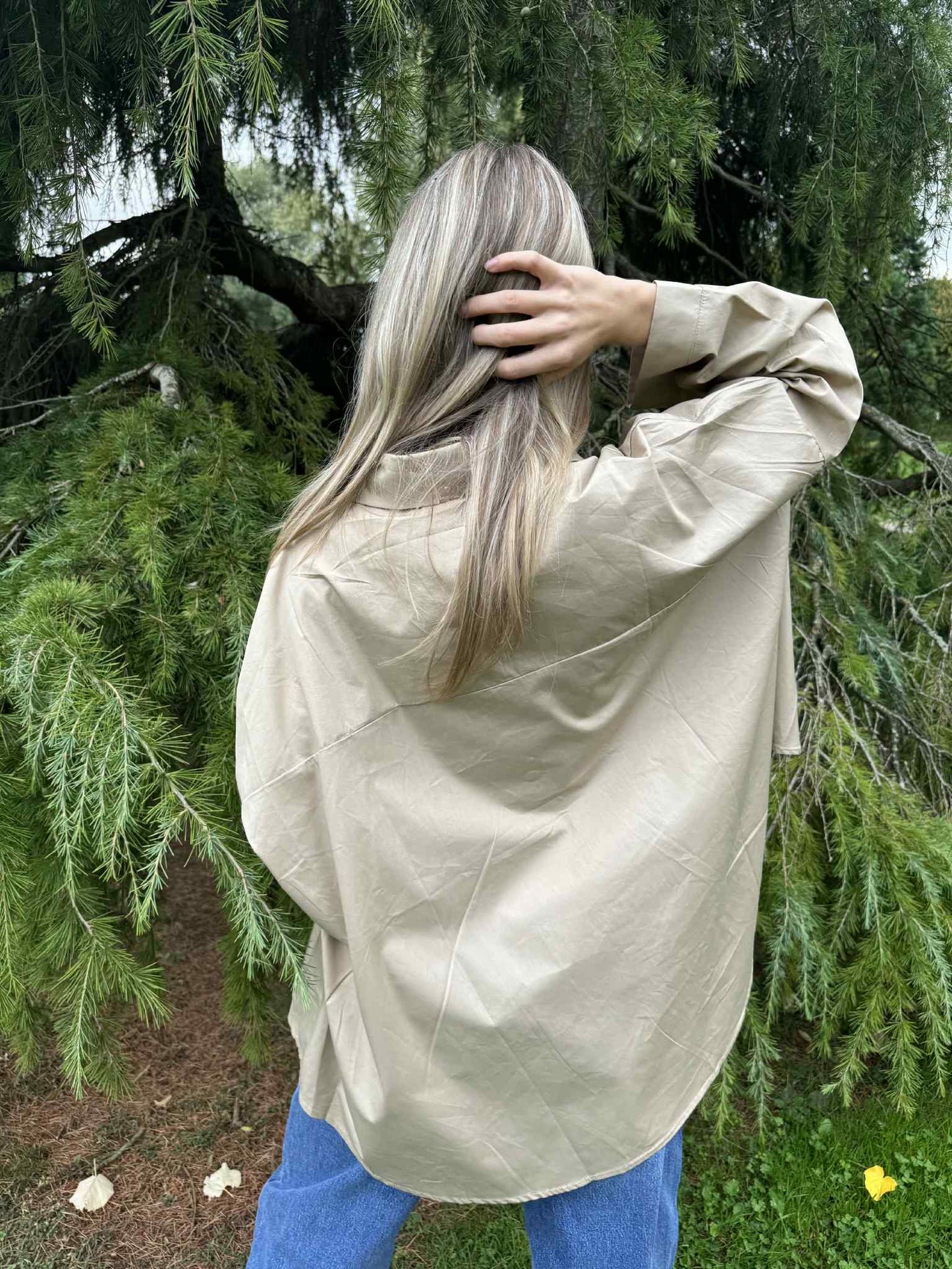 Chemise Taupe 🐿️